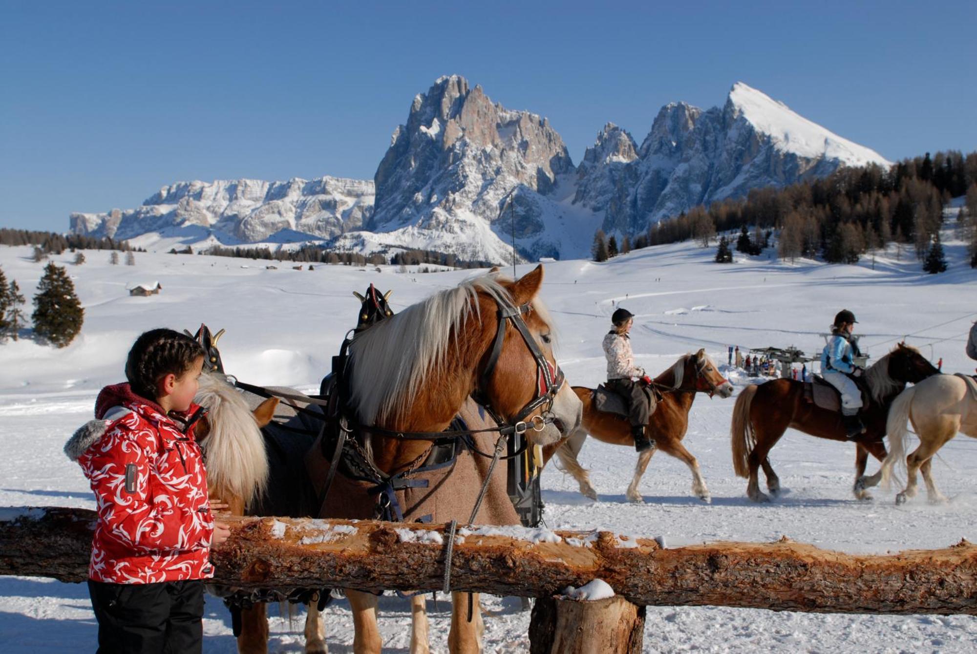 אלפה די סיוסי Dolomites Living Hotel Tirler מראה חיצוני תמונה